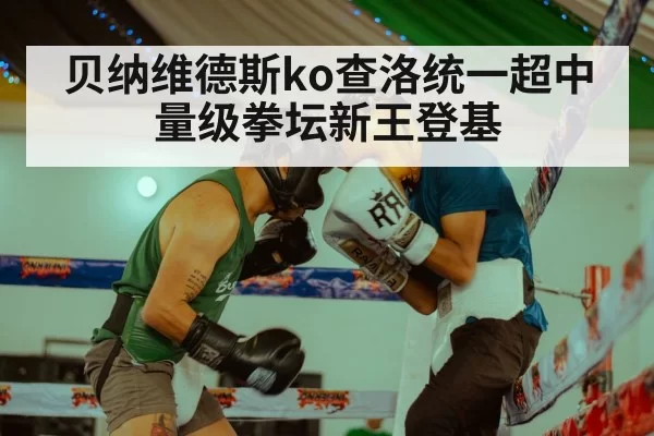 贝纳维德斯ko查洛统一超中量级拳坛新王登基