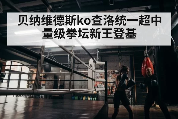 boxer training